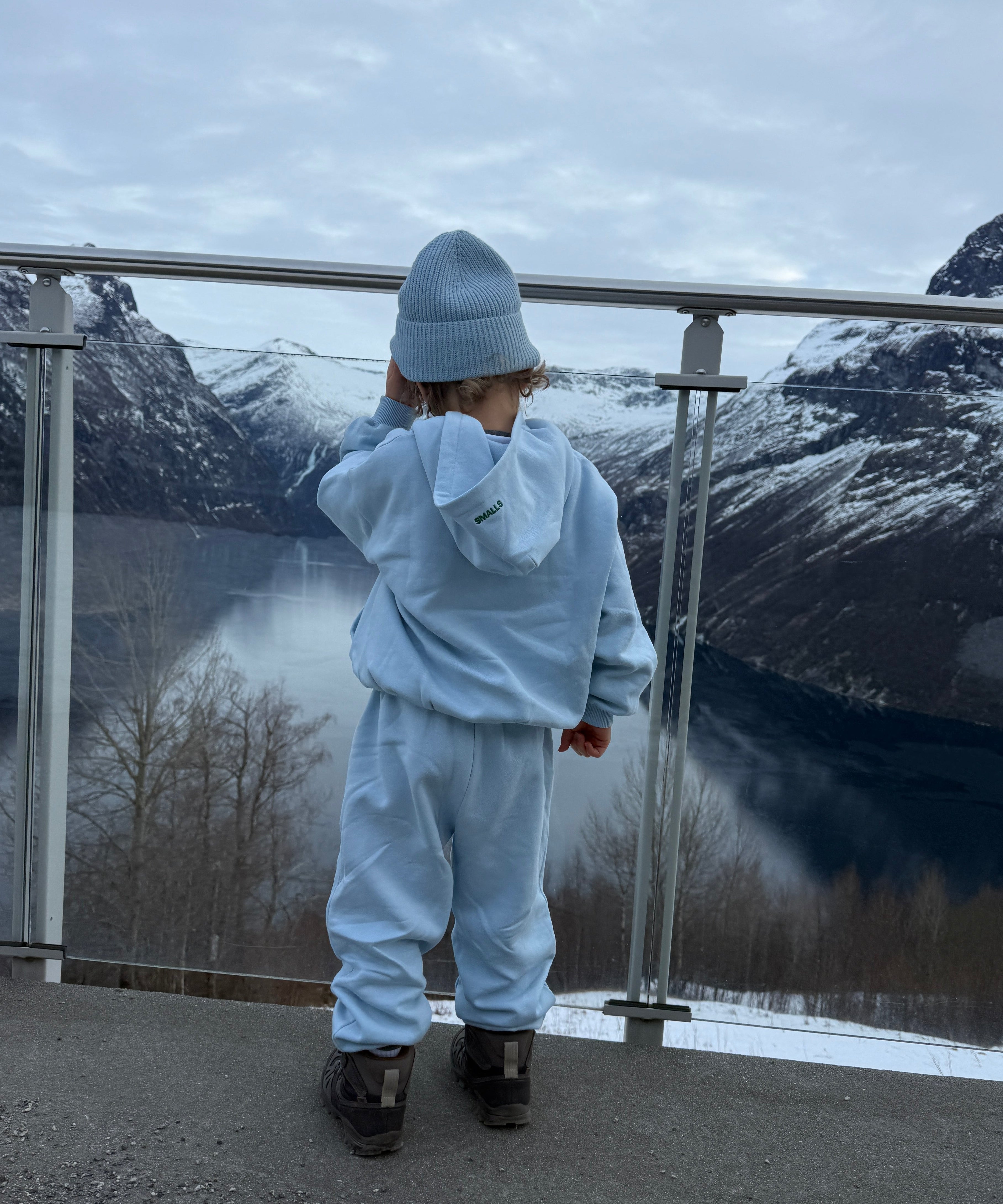 Leo Brushed Hoodie 0014 Cashmere Blue