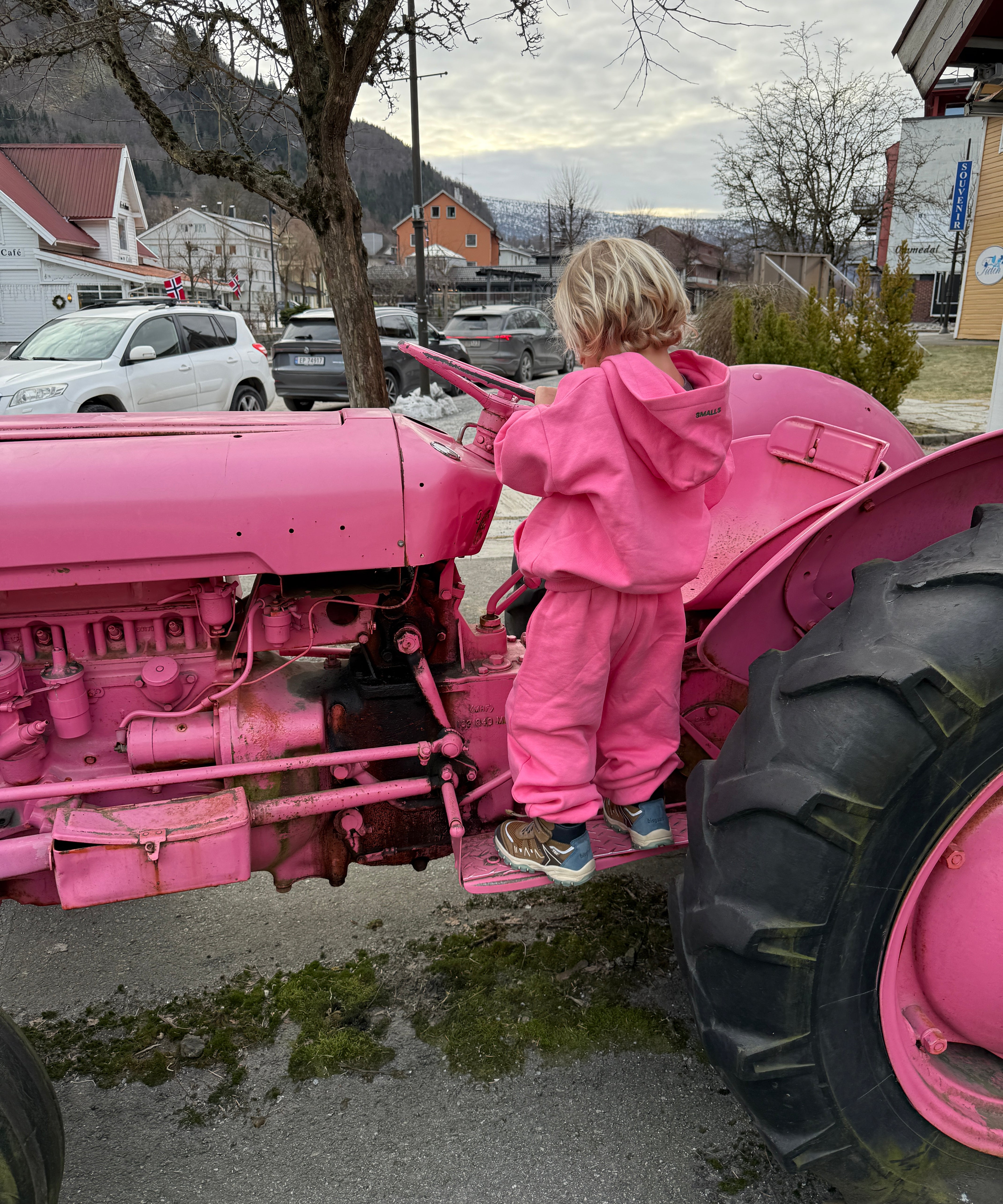 Leo Brushed Hoodie 0014 Pink Carnation